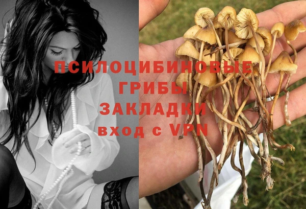 тгк Абинск